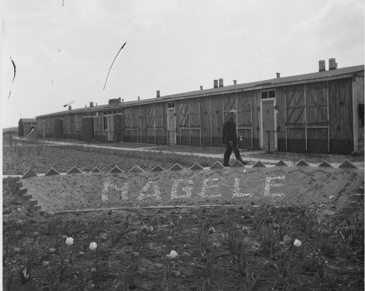 Kamp-Nagele-8-mei-1946.png