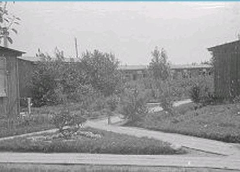Kamp-Zwartemeer-Zuidzijde-1946.jpg