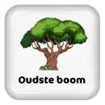 oudste boom Flevoland