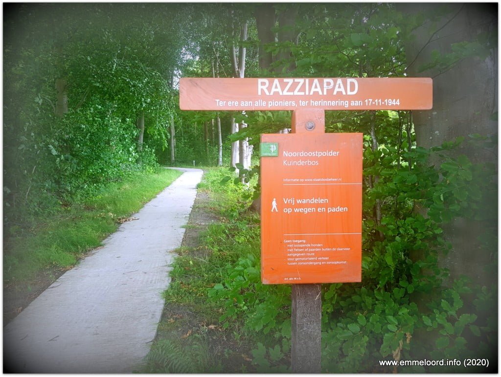 Razziapad