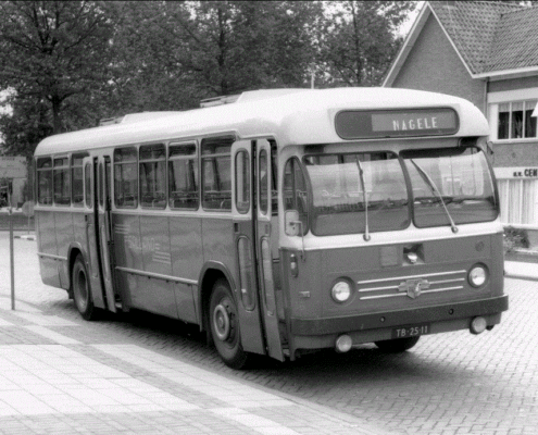 bus nagele