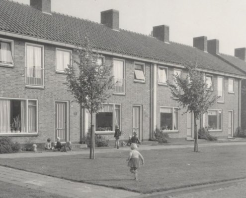 Beplanting van een openbare groenstrook aan de zuidzijde van de Duizendknoopstraat 1962 2