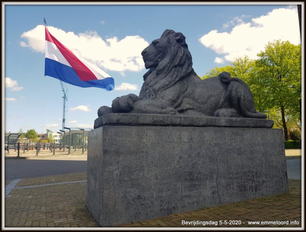 Leeuwen-met-grootste-vlag