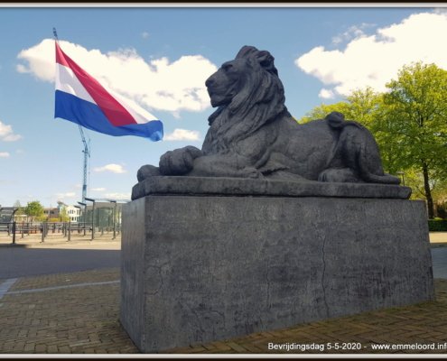 Leeuwen-met-grootste-vlag