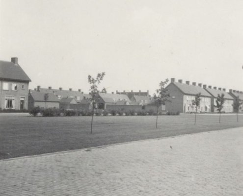 Gazon met beplanting aan de Moerasandijviestraat 1950