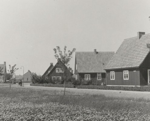 Oostenrijkse woningen aan de Acacialaan 1951 b