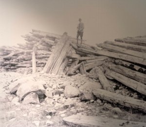 palenscherm schokland