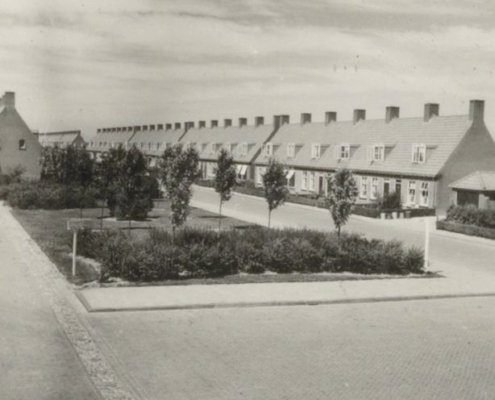 De beplanting van het Harmen Visserplein en de Rietstraat 1949