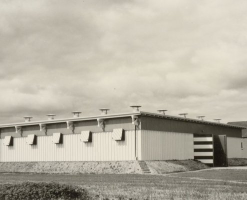 ZPN 1954 Cooperatieve aardappelbewaarplaats voor 800 ton van de Z.P.N. Zaai en Pootgoedvereniging Noordoostpolder op het industrieterrein 1