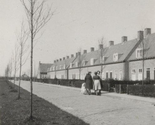 De Zeebiesstraat. Gezien vanuit het zuiden 1950