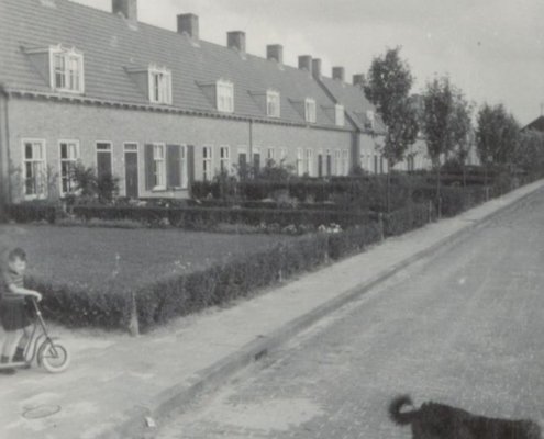 Woningen met voortuinen aan de Zeebiesstraat 1950