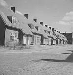 bomenbuurt - De-Lijsterbesstraat-1949.jpg